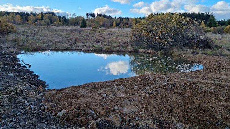  Vojenské lesy s AOPK zadržují v Brdech vodu, na Padrťských pláních přibylo další 11 tůní