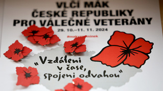 Ilustrační obrázek ke článkuMinisterstvo obrany představilo novou podobu vlčích máků k uctění minulých i současných hrdinů, válečných veteránů 