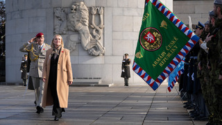 Ilustrační obrázek ke článkuČR dnes slaví Den válečných veteránů, vojáci slavnostně nastoupili na Vítkově