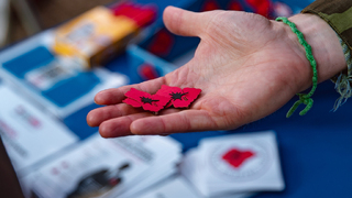 Ilustrační obrázek ke článkuSbírka Vlčí mák ČR 2025 přinesla rekordní výtěžek