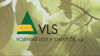 Ilustrační obrázek ke článkuVLS vyhlašuje zákaz vstupu do lesů na Vyškovsku