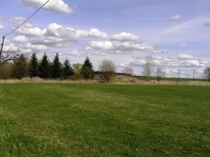 Bechyně areál Bližná