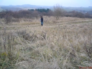 Benešov u Prahy pozemky I