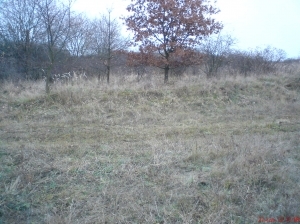 Benešov u Prahy pozemky III