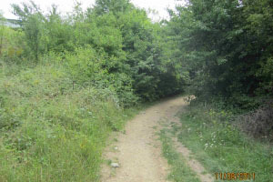 Brno-Lesná - pozemky