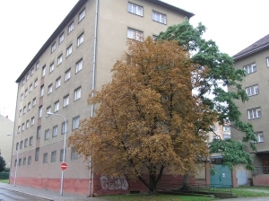 Brno areál skladů a garáže Trávničkova 1