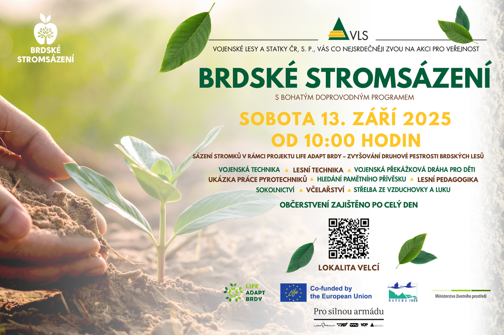 Brdské stromsázení je tady