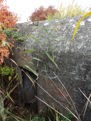 Bunkr řopík Pohořelice nad Jihlavou