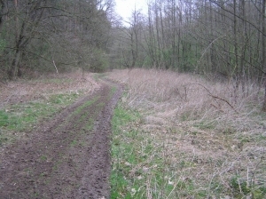 Čáslav bývalá posádková střelnice Pašinka