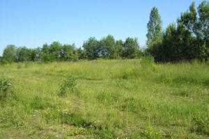 České Budějovice_Čtyři Dvory_pozemky