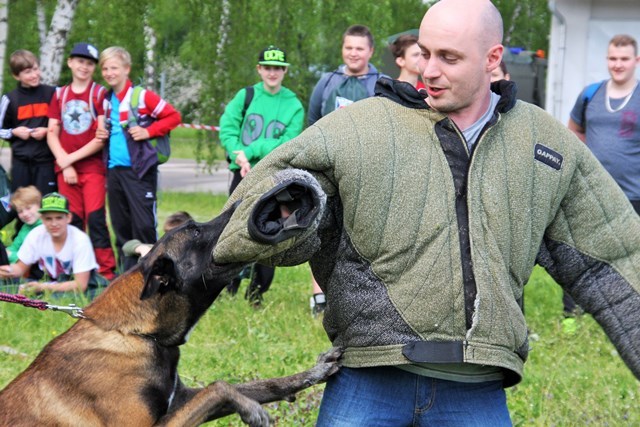 Český učitel v akci