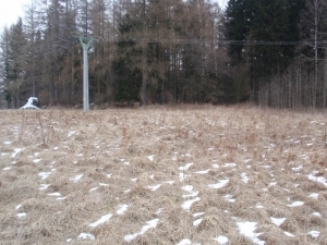 Chotěboř-Bílek pozemek