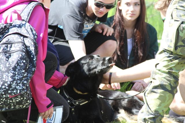 Devítiletá Žárka nejdřív předvedla, jak se umí zakousnout do rukávu figuranta, a pak se nechala radostně ohlazovat od všech dětí v okolí
