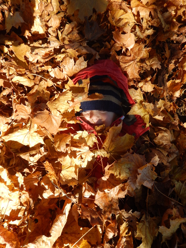 Dítě v listí