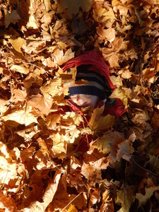 Dítě v listí