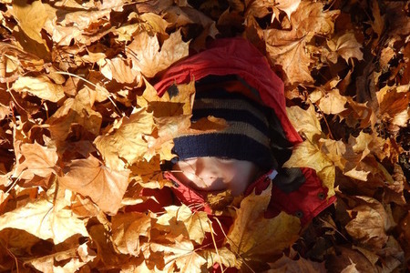 „Zvedni se a jdi do lesa!“ motivuje děti webový portál VLS 