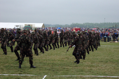 Vojenská přehlídka maďarských ozbrojených sil u příležitosti slavnostního zahájení „Air and Military Show 2010“