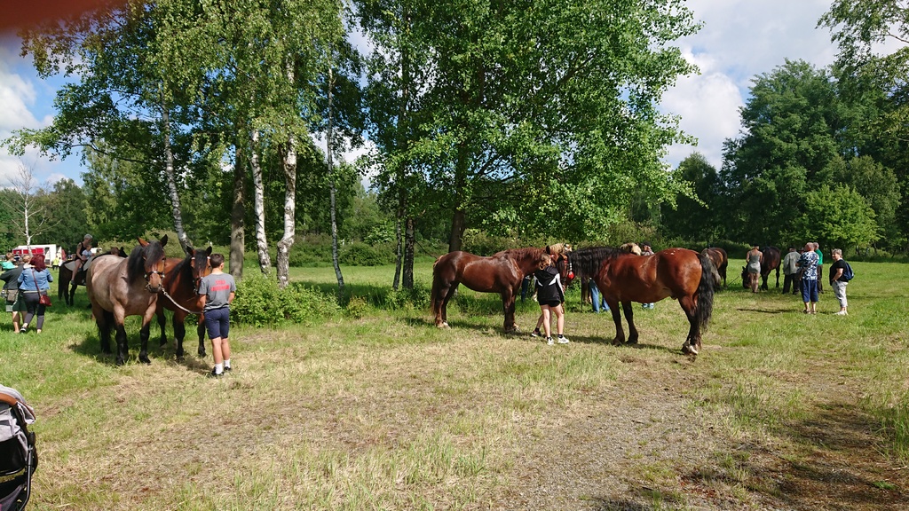Vojensko-lesnická akce na Libavé