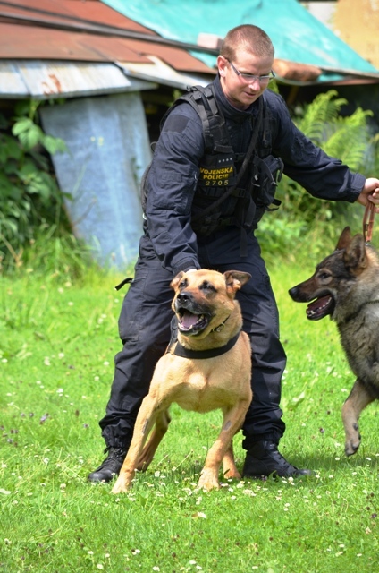 „Kuba cup“ Vojenský policista se svými čtyřnohými kolegy