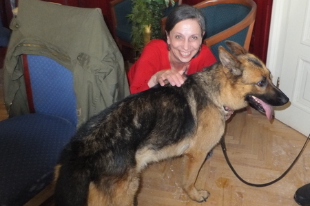 Ovčák Athos čeká na ministrovo ocenění