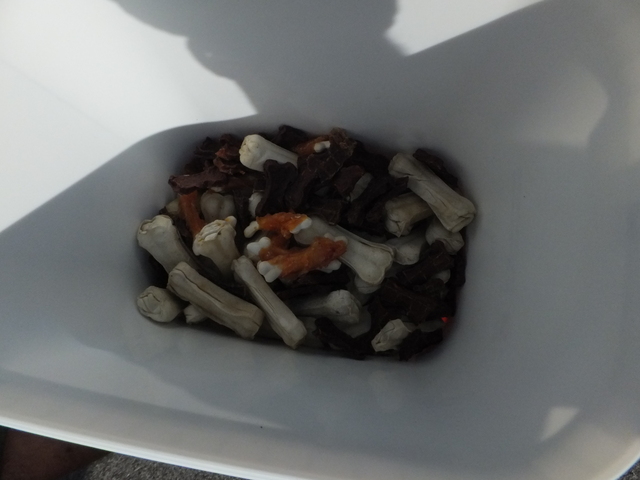 Ovčák Athos čeká na ministrovo ocenění (3)