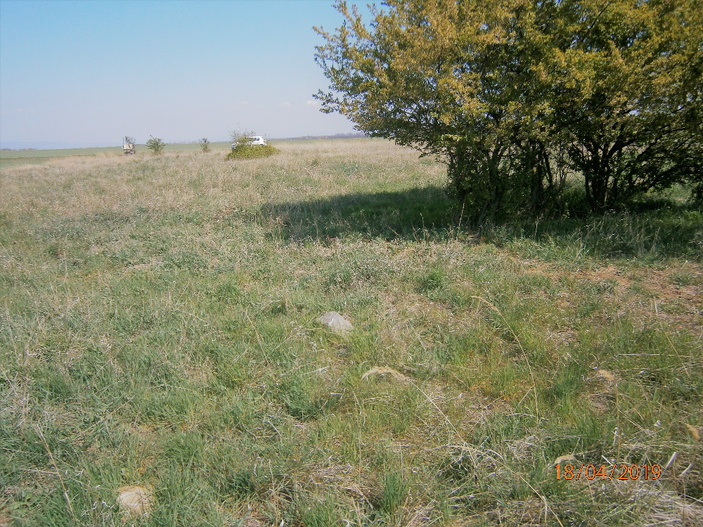 Pozemky p.p.č. 212-1 a p.p.č. 391-2 v Žatci