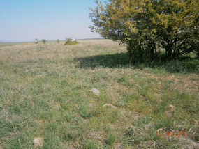 Pozemky p.p.č. 212-1 a p.p.č. 391-2 v Žatci