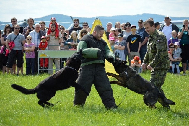 Příslušníci Centra vojenské kynologie z Chotyně předvedli, co všechno dovedou služební psi. 