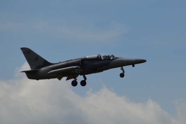 Ukázka vyšší pilotáže letounu L-159 byla horkou novinkou letošního Dne s 25. protiletadlovým raketovým plukem. 