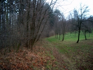 Fulnek, pozemky