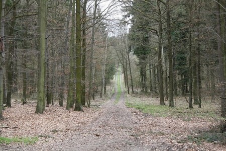 Obce v okolí Brd případné zrušení vojenského újezdu uvítají (1)