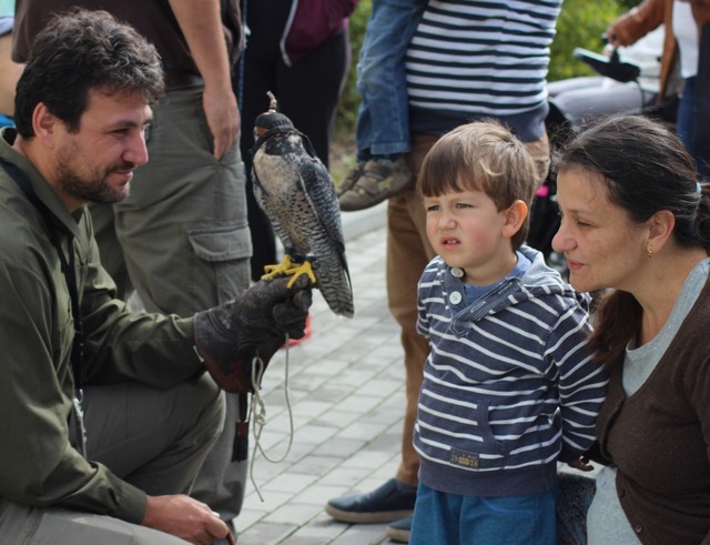 Stanoviště sokolníků
