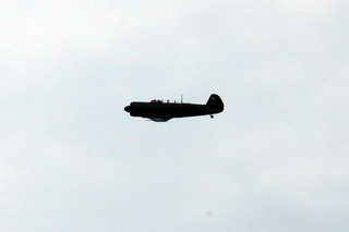 Jak-11