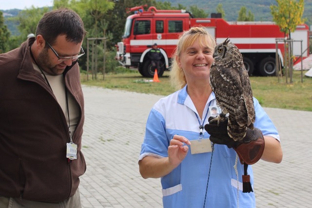 Dravců se nebál ani personál nemocnice