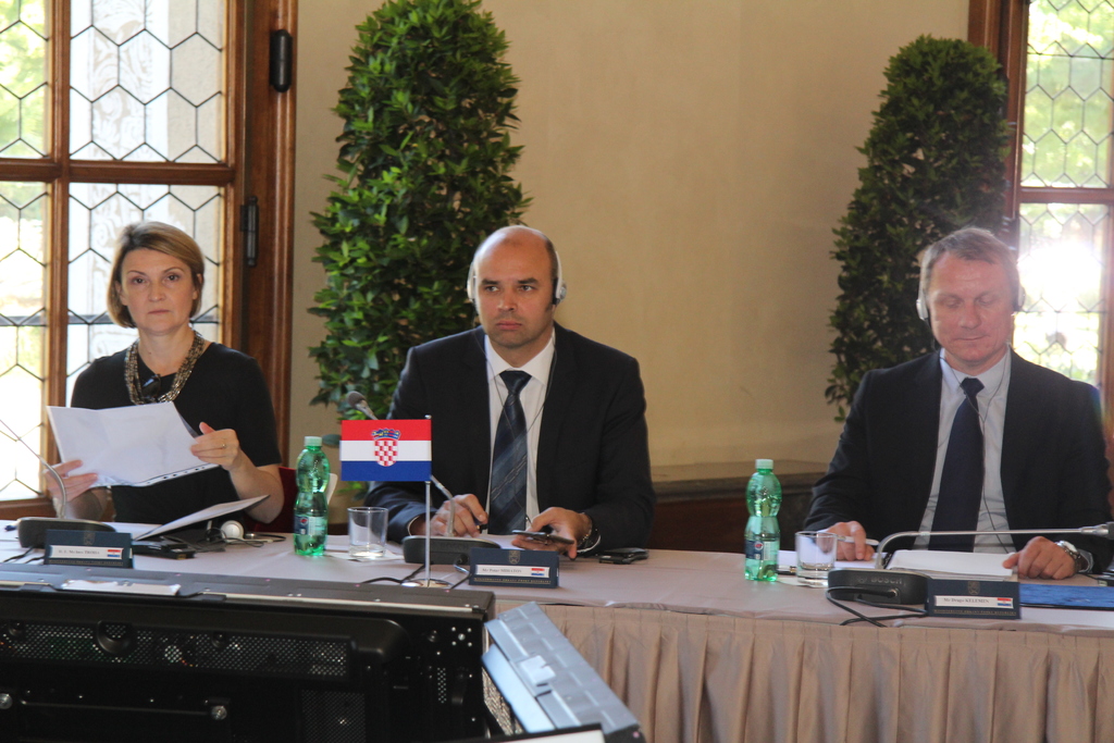 Chorvatsko zastupovala velvyslankyně Ines Troha a Petar Mihatov a Drago Kelemen z ministerstva obrany
