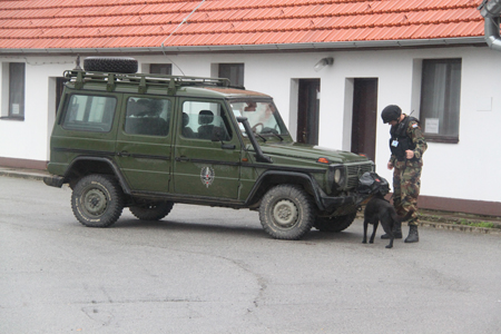chorvatský psovod se psem cvičeným na speciální pachové práce (2)