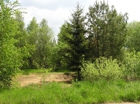 Jihlava – Cvičiště Rančířov