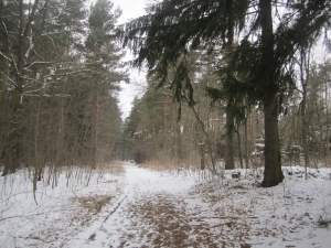 Jindřichův Hradec pozemky