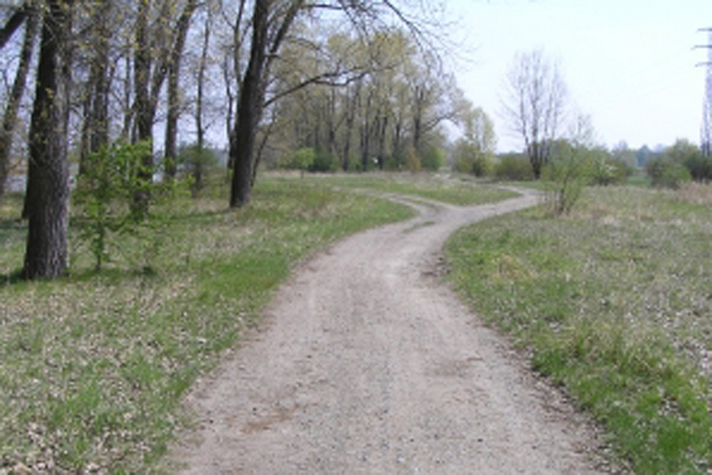 Kostelec nad Labem_pozemky
