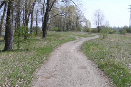Kostelec nad Labem_pozemky