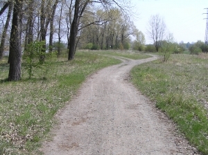 Kostelec nad Labem, pozemky