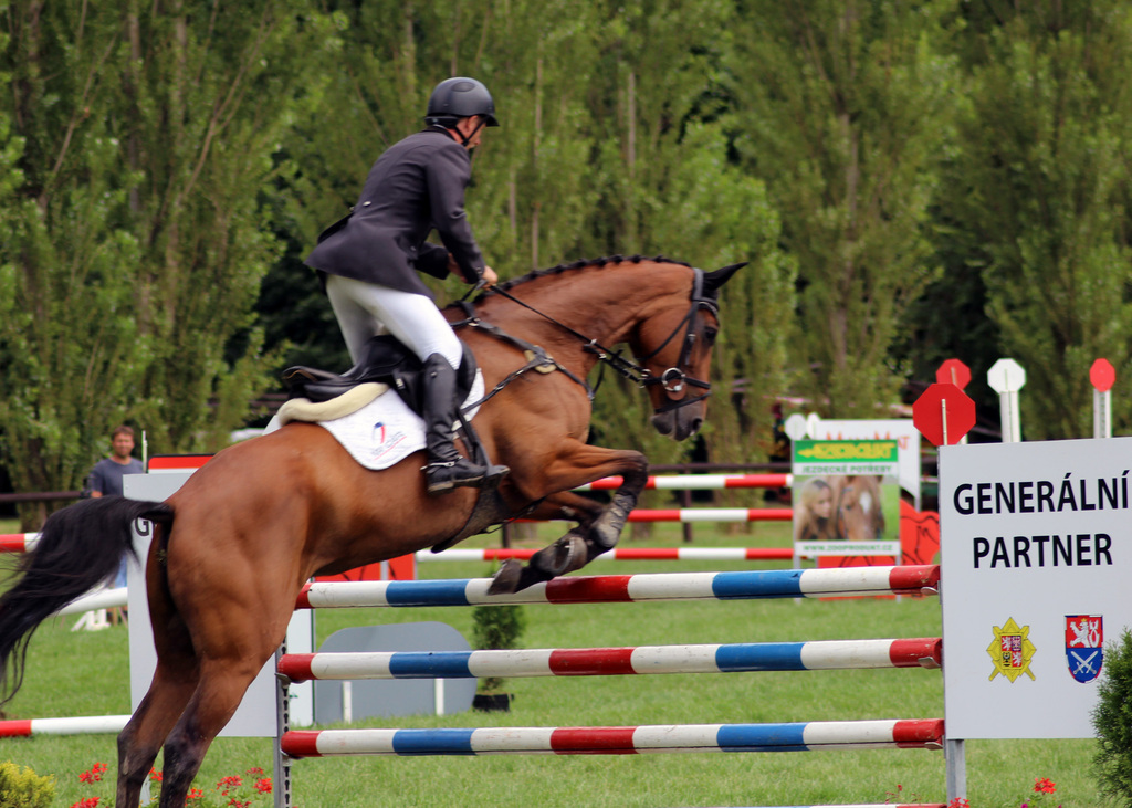 Kůň na první překážce