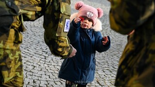 Ilustrační obrázek ke článkuFOTO: Vlčí máky napříč Českem. Podívejte se, jak vypadaly u vás