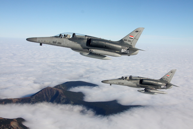Letoun L-159 v iráckých barvách