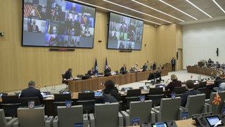 Spojenci NATO na zasedání svých virtuálních ministrů obrany 