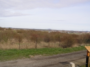 Nepřevázka - volné pozemky