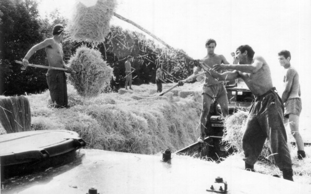 Žňová výpomoc ČSLA v roce 1979 i s vojenskou technikou.