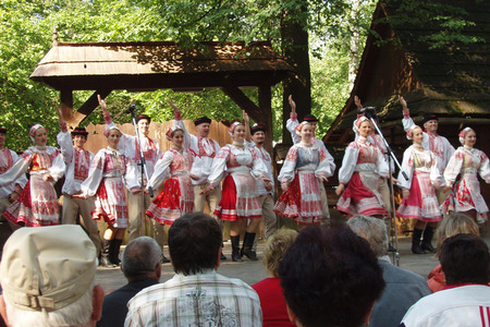 Mezinárodní armádní folklórní festival (10)