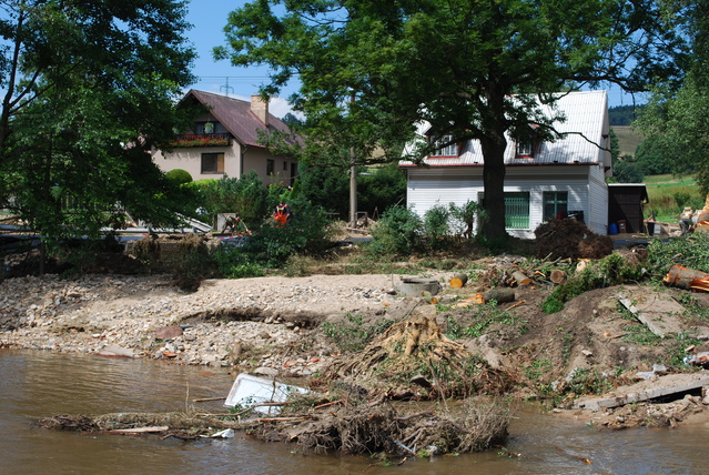 Pohled na břeh řeky Jeřice II
