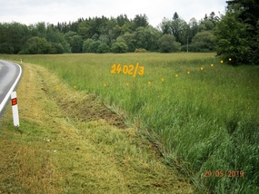 Pozemky u města Janovice nad Úhlavou